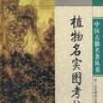 馬尾伸筋 馬尾伸筋