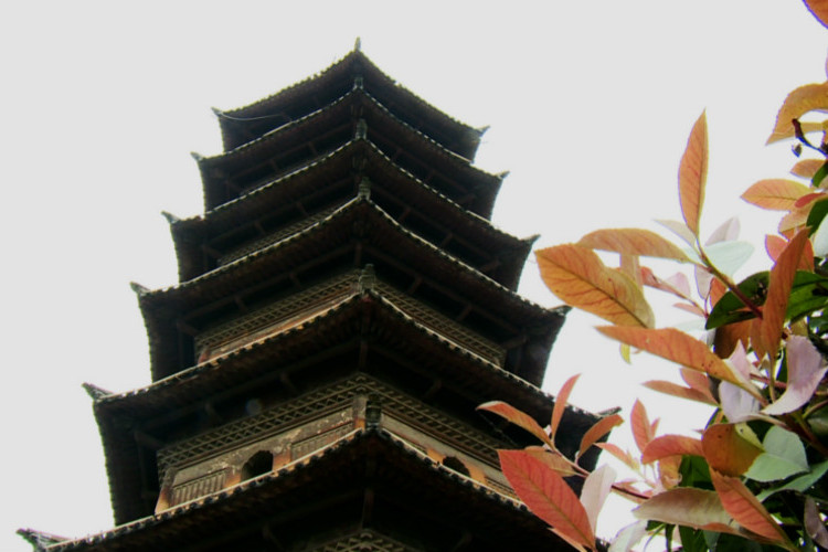 圩中的奧秘 圩中的奧秘