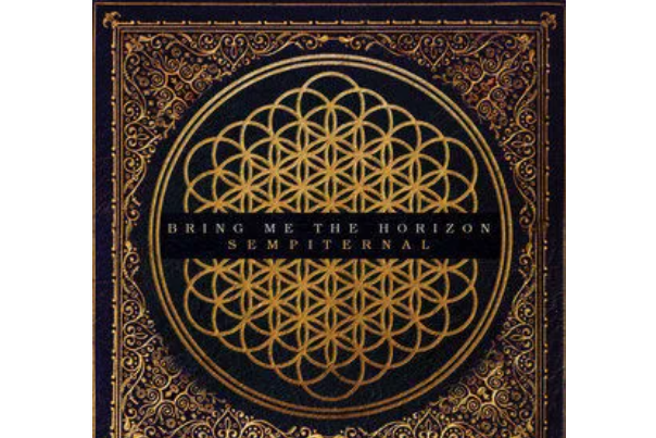 can you feel my heart can you feel my heart