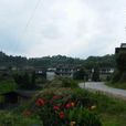 上雲村(福建省泉州市德化縣楊梅鄉下轄村) 上雲村(福建省泉州市德化縣楊梅鄉下轄村)