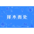 擇木而處 擇木而處
