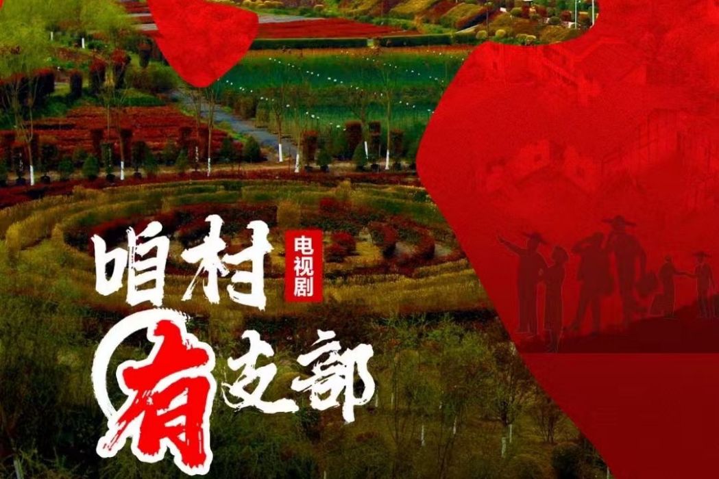 咱村有支部 咱村有支部