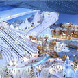杜拜滑雪場 杜拜滑雪場