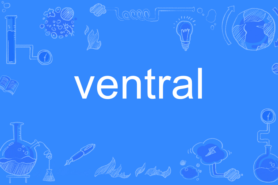 ventral ventral