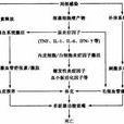 代謝能量 代謝能量