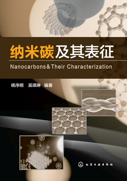 納米碳及其表征