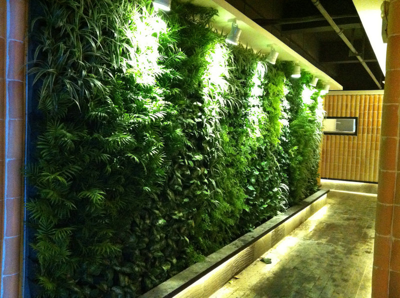 植物牆