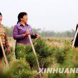 周玉蓮(準格爾旗全國勞動模範) 周玉蓮(準格爾旗全國勞動模範)