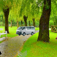 逃離春季公園 逃離春季公園