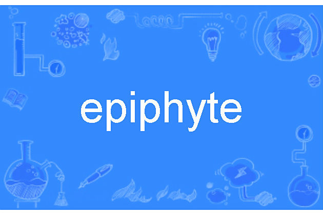 epiphyte epiphyte
