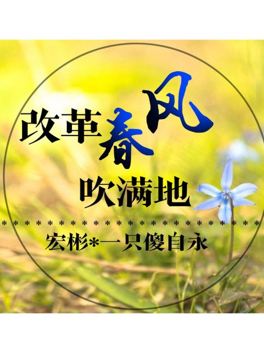 滴哩哩 滴哩哩