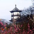 蝶園 蝶園