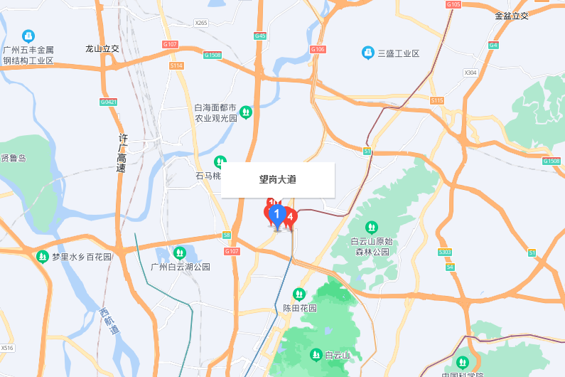 望崗大道