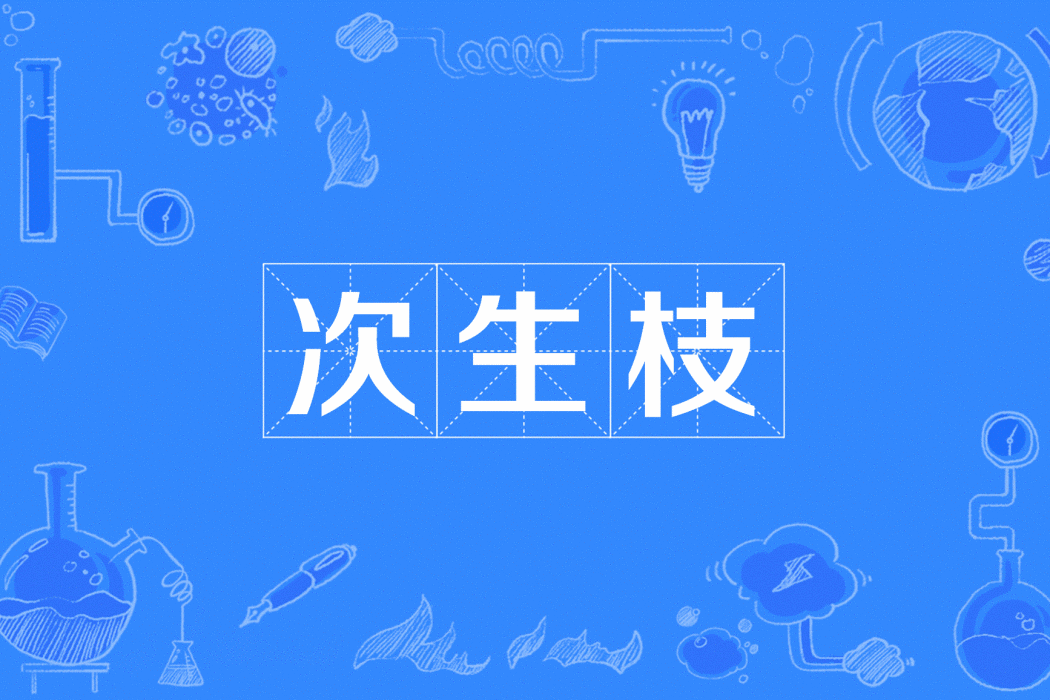 次生枝 次生枝