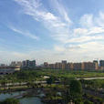 石灣鎮(廣東省惠州市博羅縣下轄鎮) 石灣鎮(廣東省惠州市博羅縣下轄鎮)