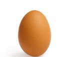 雞蛋(雞卵)