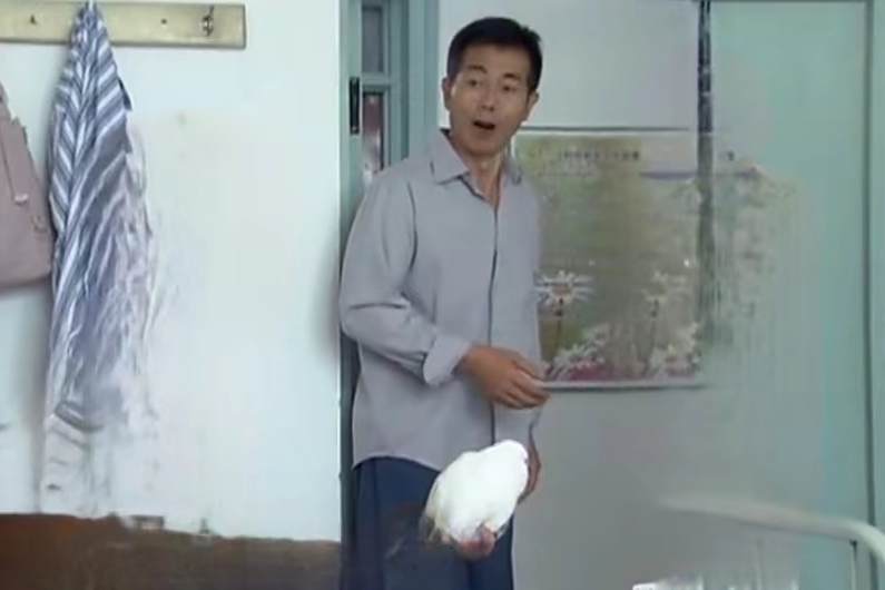 劉福貴(家庭劇《媽媽的羅曼史》中的角色)