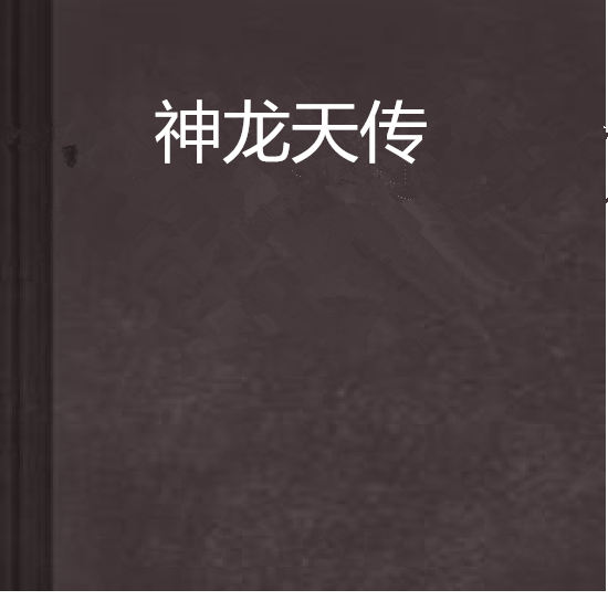 神龍天傳 神龍天傳