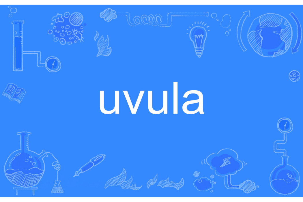 uvula uvula