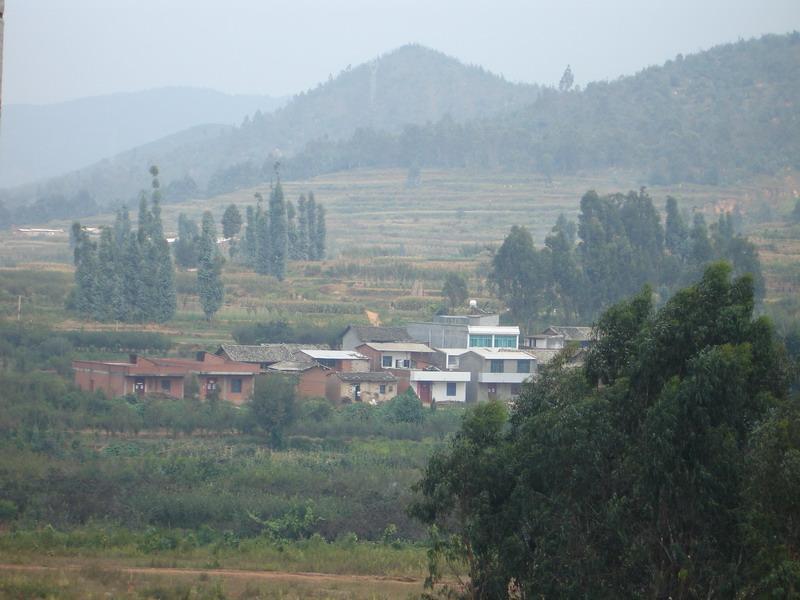 草村 草村