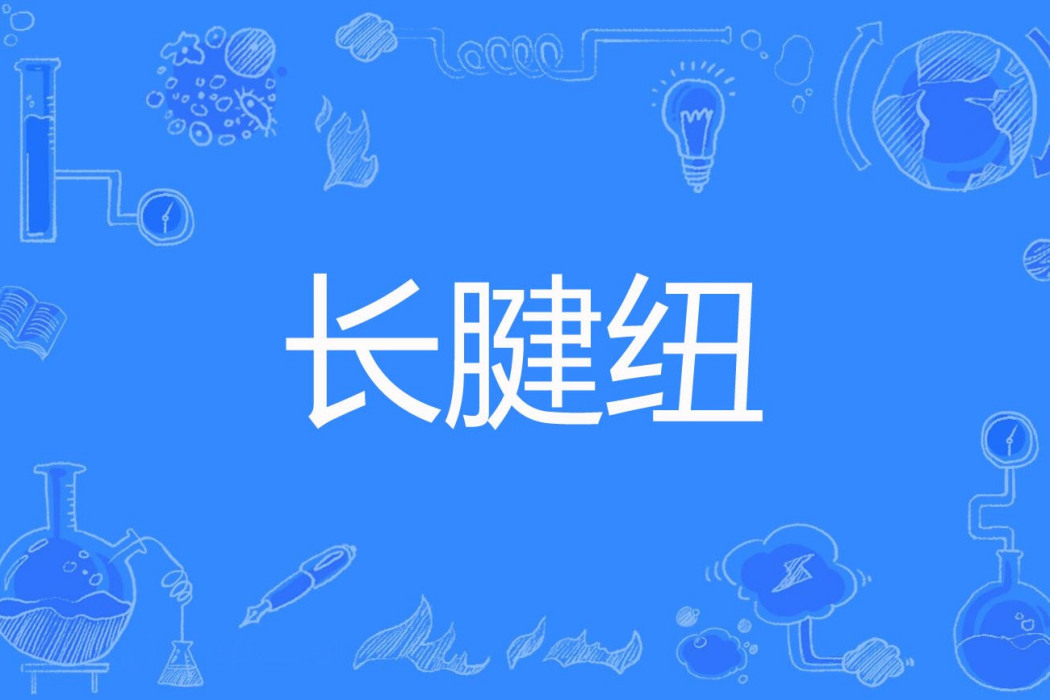 長腱紐 長腱紐