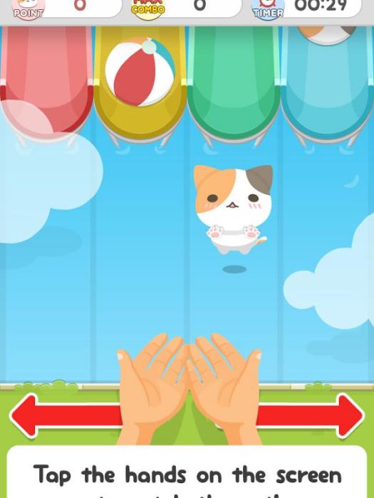 捉貓 捉貓
