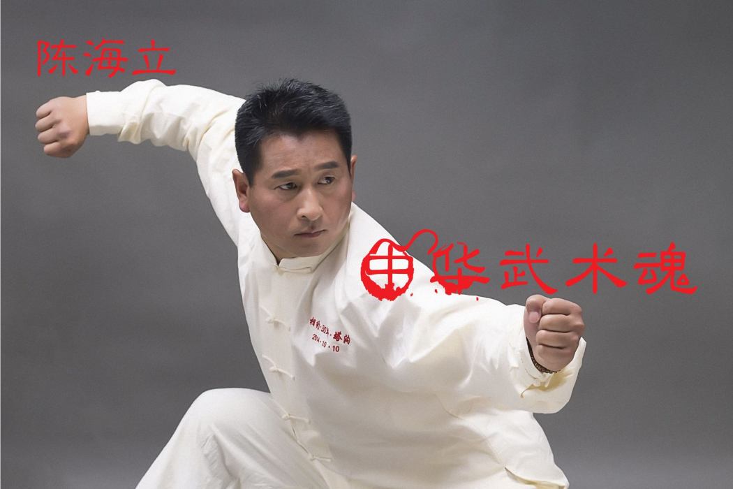 中華武術魂 中華武術魂