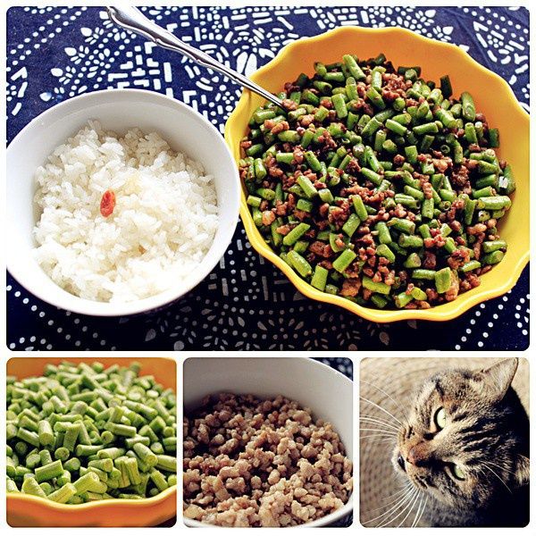 肉末辣炒豇豆 肉末辣炒豇豆