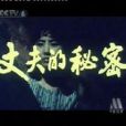 胡兆洪美 胡兆洪美