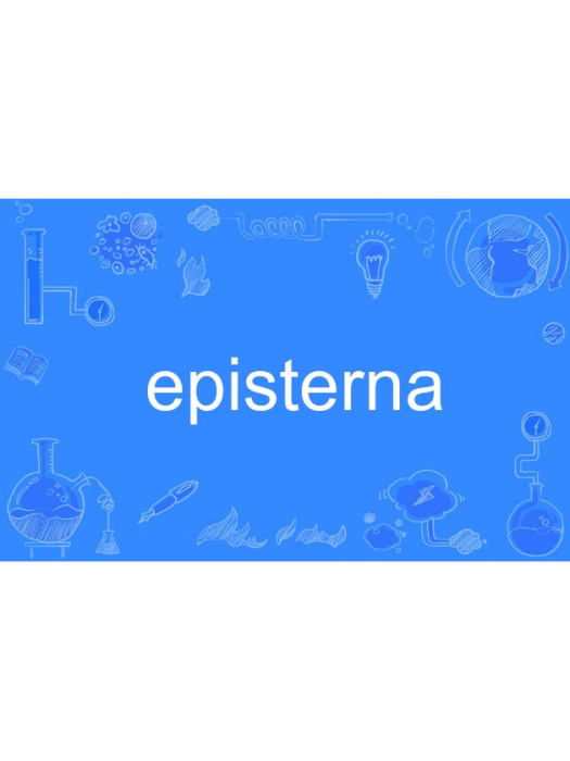 episterna episterna