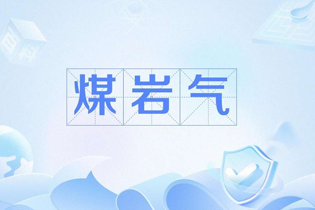 煤岩氣 煤岩氣