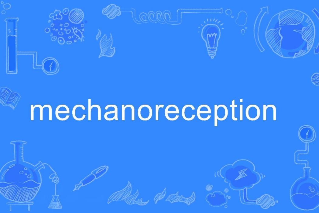 mechanoreception mechanoreception