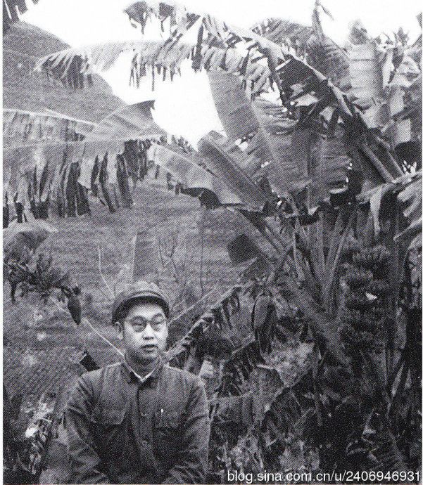 呂遵諤 呂遵諤