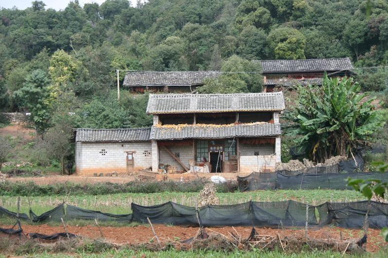 小壩心村(雲南省文山州丘北縣膩腳鄉小壩心村) 小壩心村(雲南省文山州丘北縣膩腳鄉小壩心村)