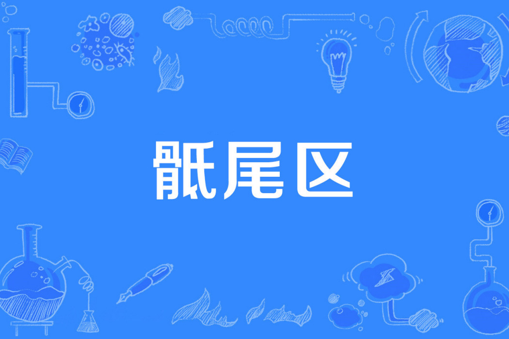 骶尾區 骶尾區