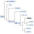 何耶龍 何耶龍