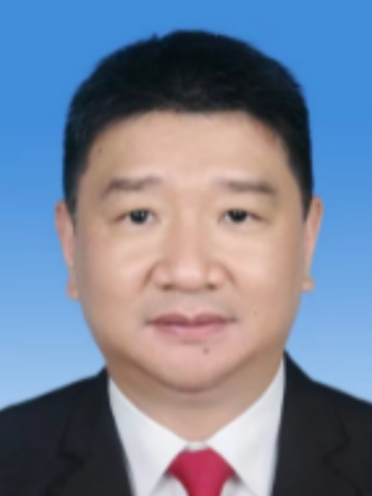 陳秩強(廣東省東莞市高埗鎮黨委委員、紀委書記、市監委派出高埗鎮監察組組長、一級主任科員、一級監察官) 陳秩強(廣東省東莞市高埗鎮黨委委員、紀委書記、市監委派出高埗鎮監察組組長、一級主任科員、一級監察官)