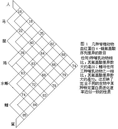 中性學說圖解