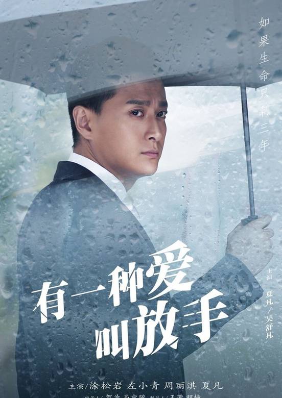 有一種愛叫放手(家年華(2015年電視劇)) 有一種愛叫放手(家年華(2015年電視劇))