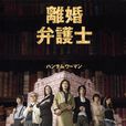 離婚女律師2 離婚女律師2