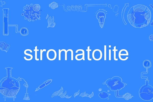 stromatolite stromatolite