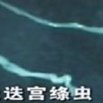 曼氏迭宮絛蟲 曼氏迭宮絛蟲