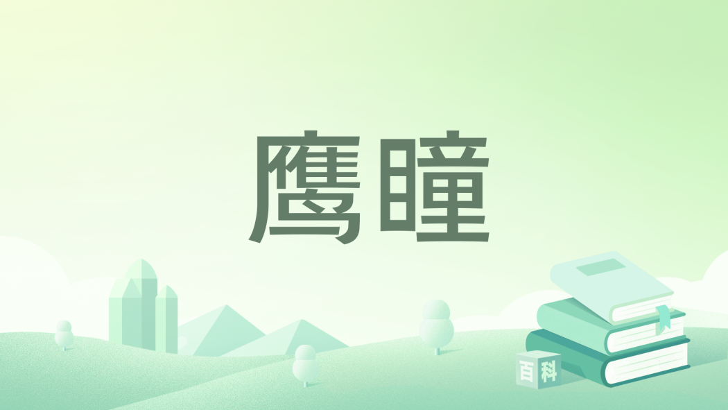 鷹瞳 鷹瞳