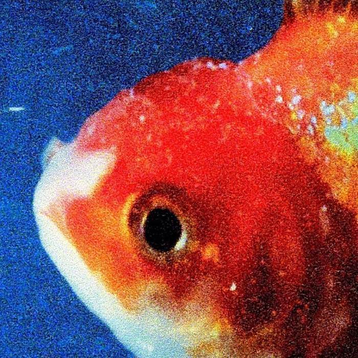 Big Fish Theory Big Fish Theory