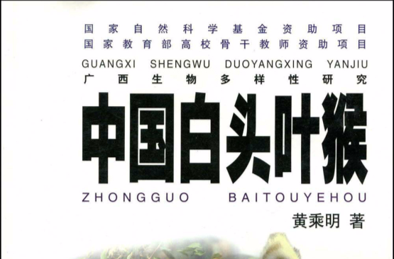 中國白頭葉猴