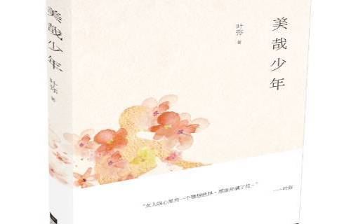 美哉少年(2016年江蘇文藝出版社出版的圖書) 美哉少年(2016年江蘇文藝出版社出版的圖書)