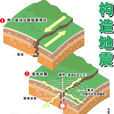 構造地震