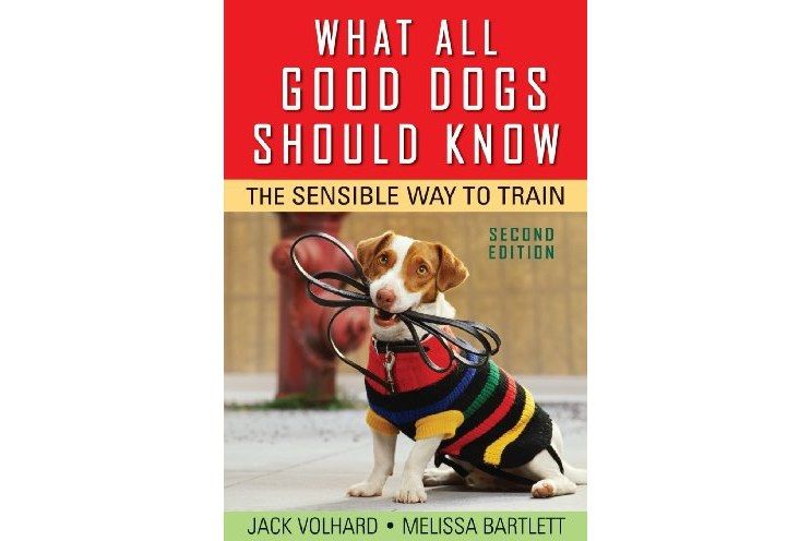 What All Good Dogs Should Know What All Good Dogs Should Know