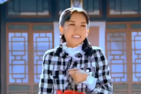 張燕子(民國傳奇劇《老兵》中的角色,由唐娜飾演。) 張燕子(民國傳奇劇《老兵》中的角色,由唐娜飾演。)