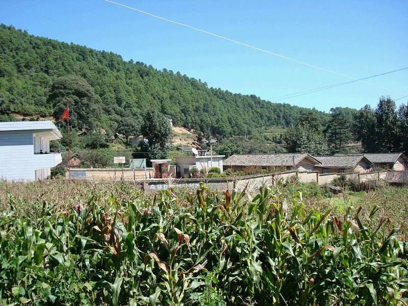 白勒刀村 白勒刀村